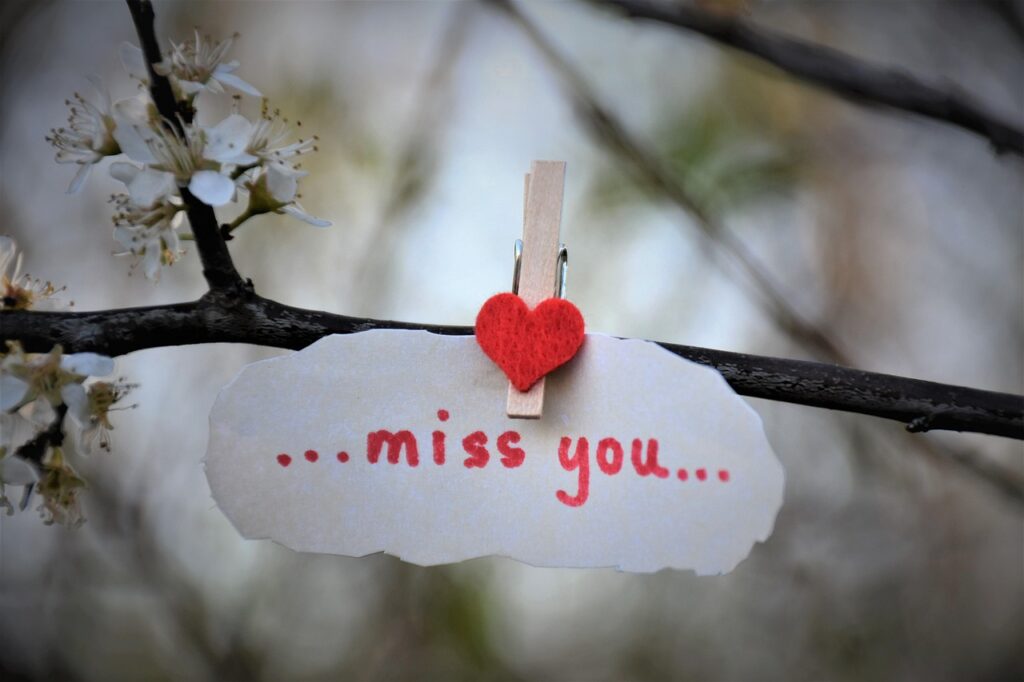 miss you, message, branch-4096202.jpg